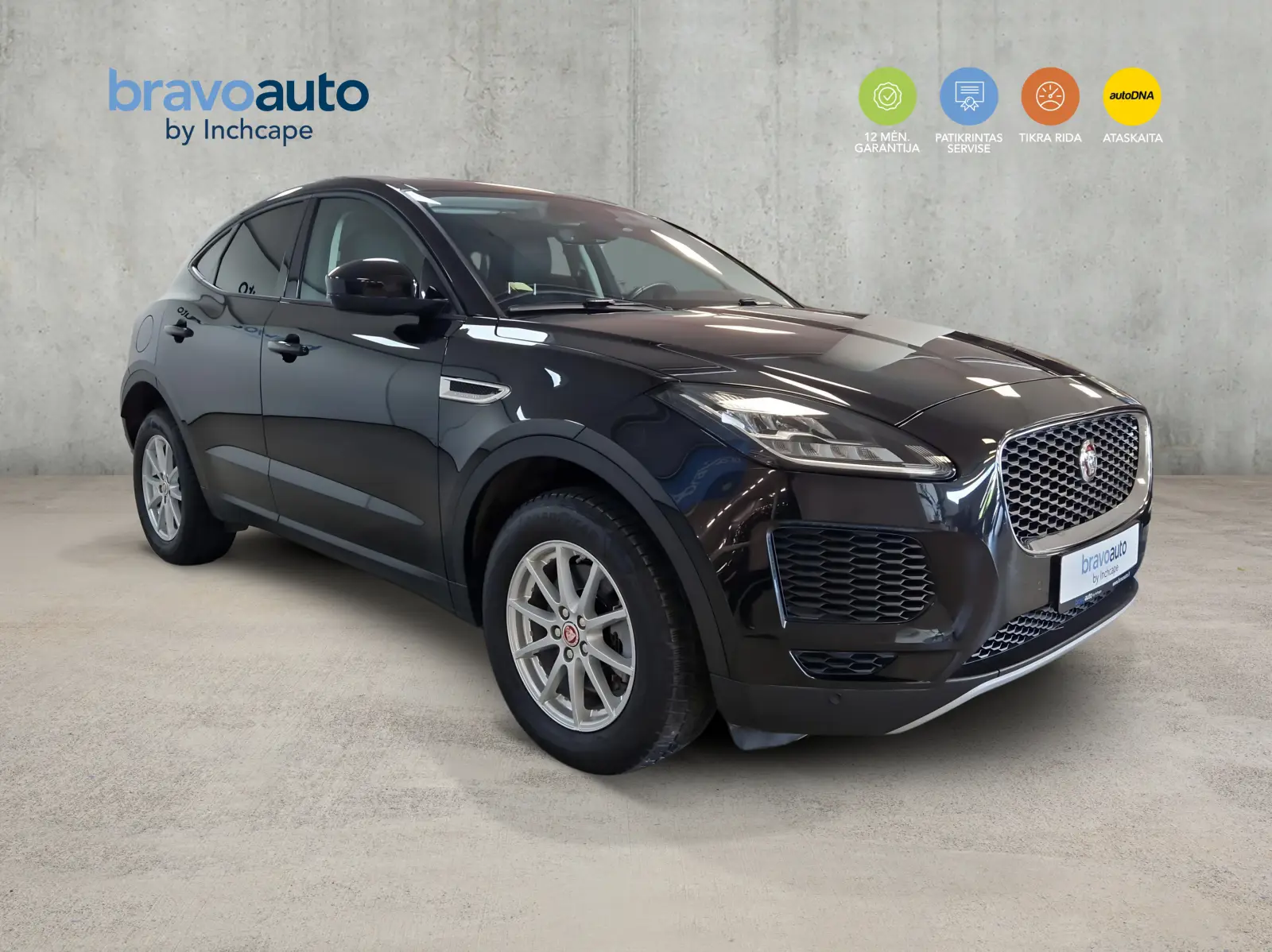 b7488d80c8c95c2bfad16e5cad1d5aab6a8d9febaff2f.jpg