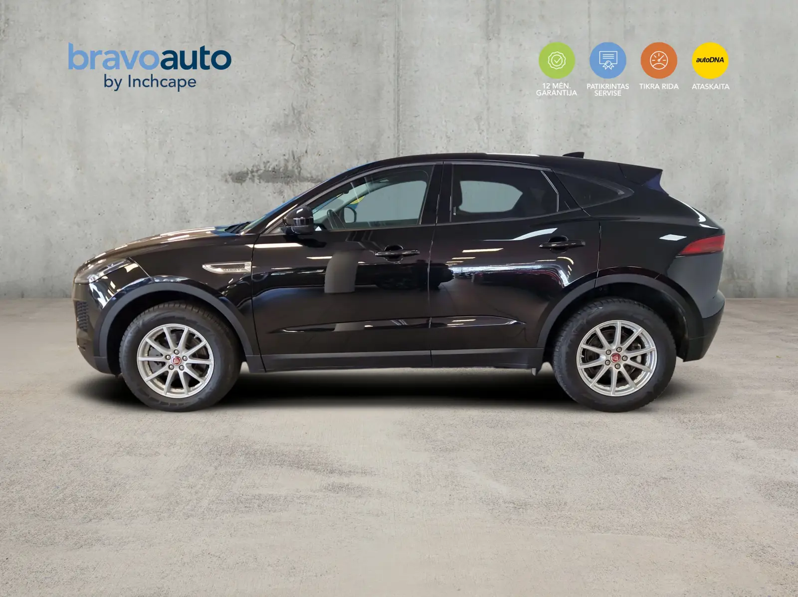 cf47c1712c3cc45d80e15bab18918bba6a8d9fe3a5f58.jpg