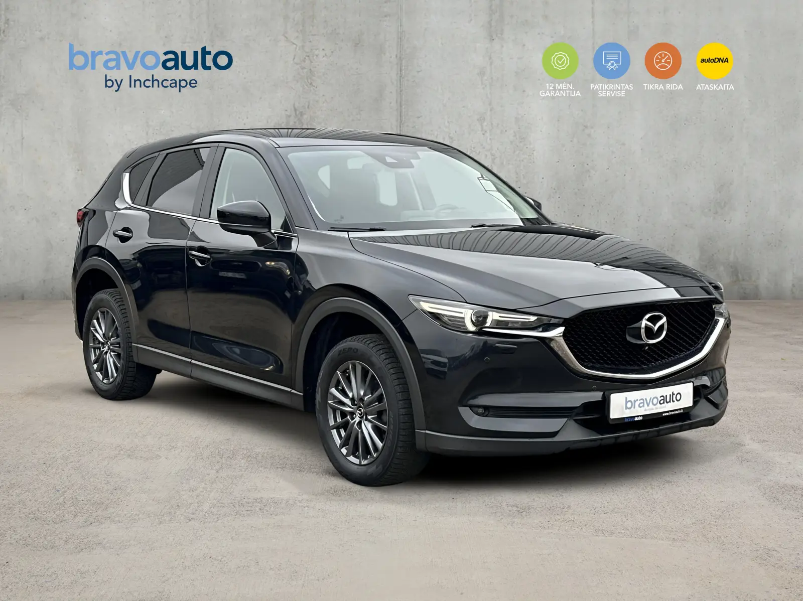 2c650baf9b0ef751d9a9414667d8fbfb69e0f6081ae64.jpg